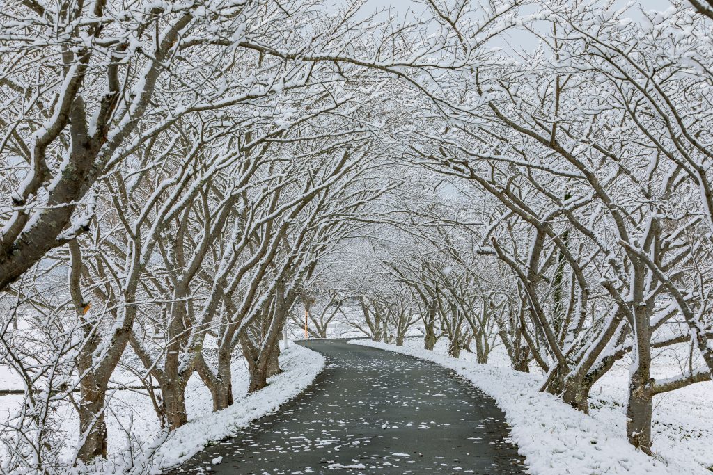 Winter Motorhome Hire